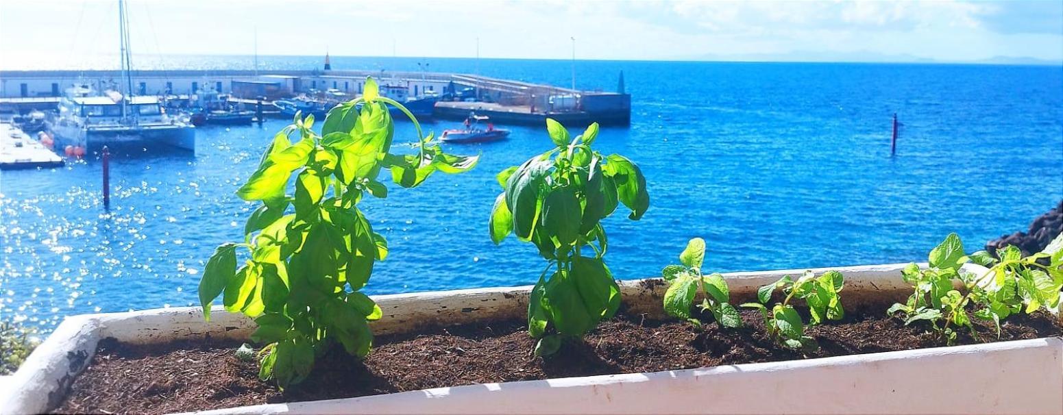 Appartement Buena Pesca 7 à Puerto del Carmen  Extérieur photo